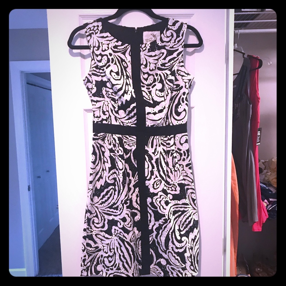NWT Anthropologie Tabitha dress